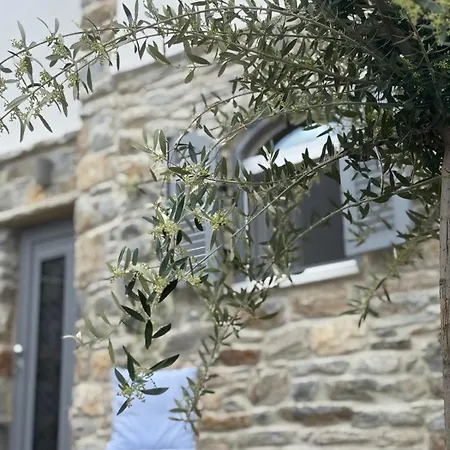 Servena's Damarionas Village *